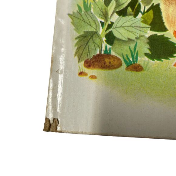 The Fuzzy Duckling Vintage Golden Book Large 1977 Children’s Hardcover - Picture 10 of 14